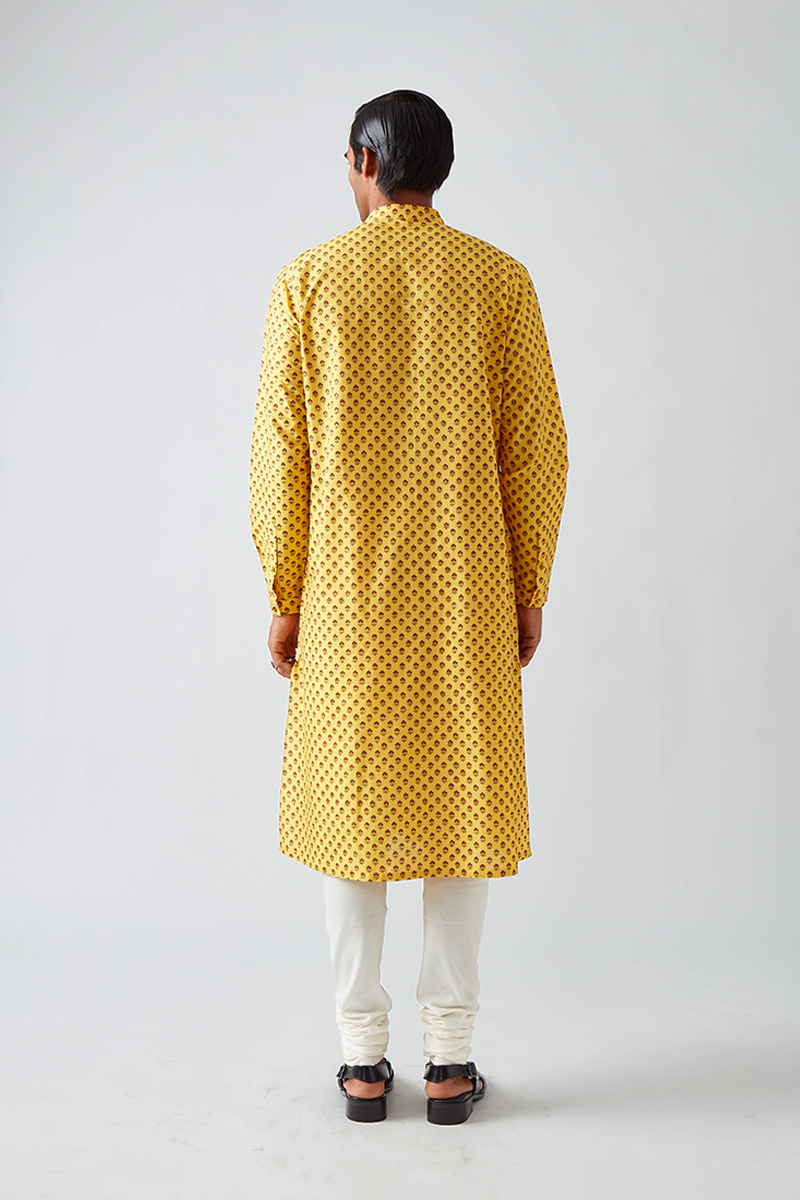 Chhitroli Hand Print Pintuck Kurta Set