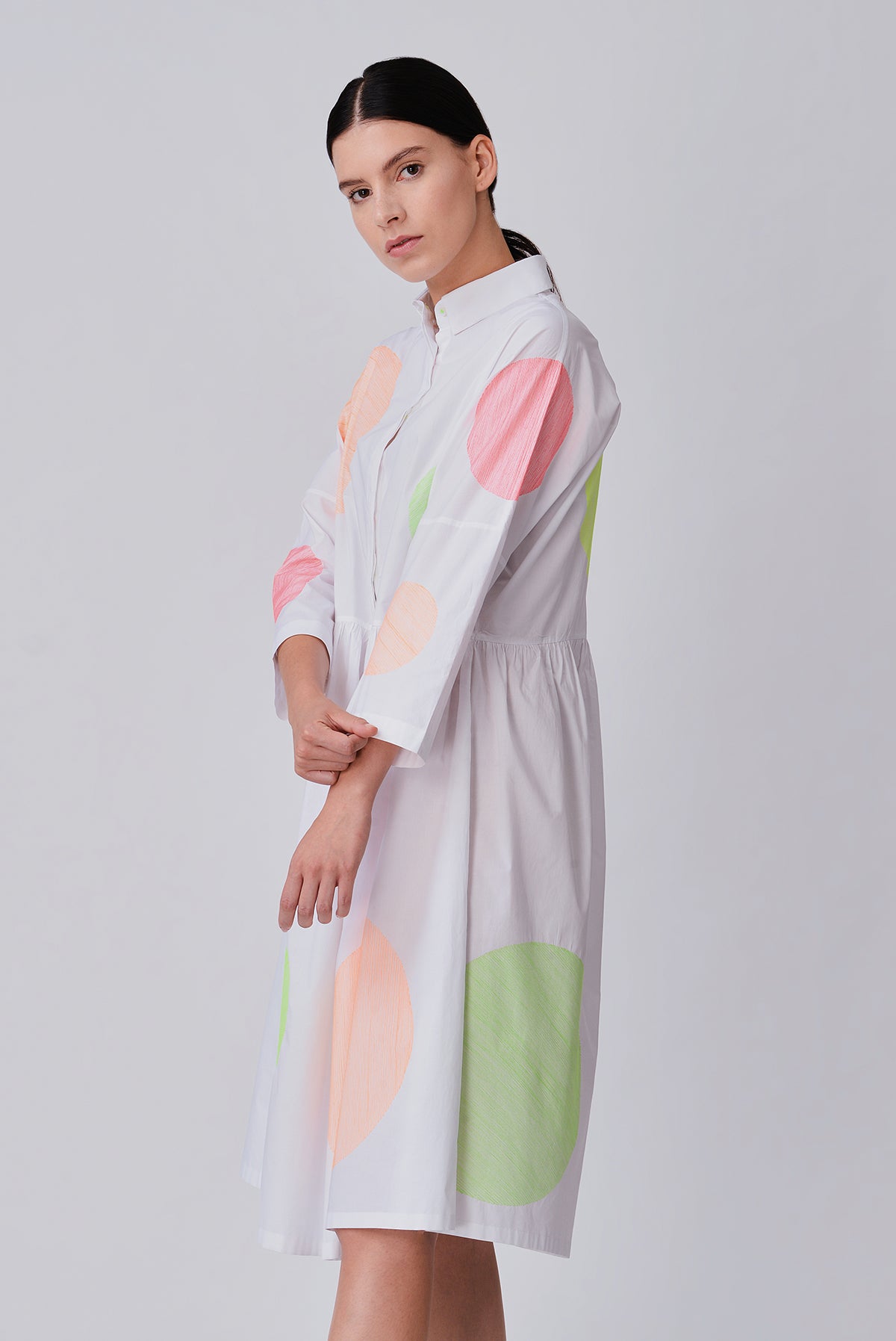 Barol Embroidered Dress