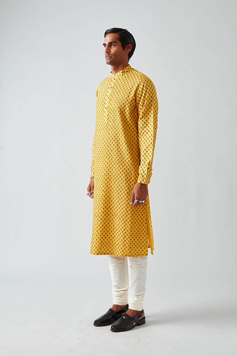Chhitroli Hand Print Pintuck Kurta Set