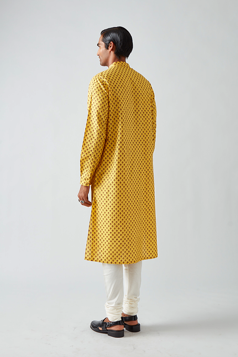 Chhitroli Hand Print Pintuck Kurta Set